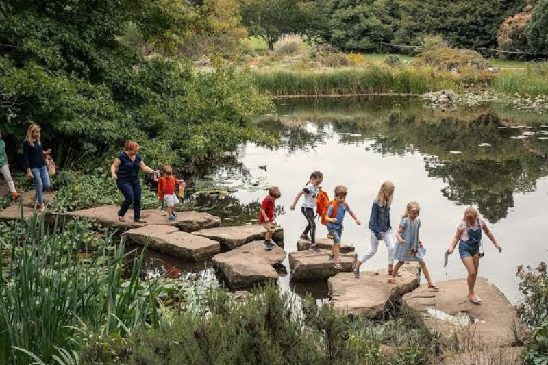 Youth Outdoor Activities